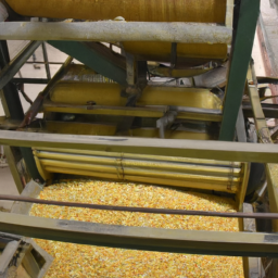maize processing plant for india