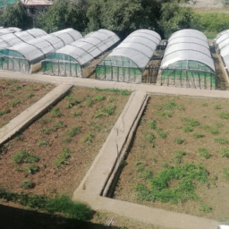 greenhouse project in Lahore Pakistan