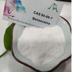 benzocain quickly to europe and usa Benzocaine powder cas 94-09-7 bulk price and in stock