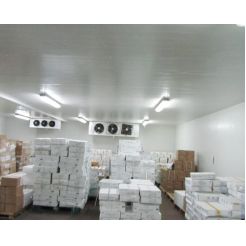 Milk and Cold Room Storage of Dairy Products Solution, Dairy Cold Room