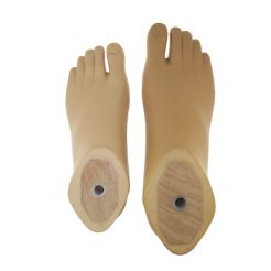 sach foot prosthesis