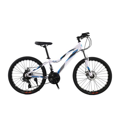 New style 24 Speed high-carbon steel frame disc brake Mountain Bicycle for men and women