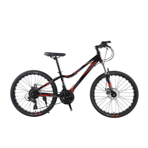 New style 24 Speed high-carbon steel frame disc brake Mountain Bicycle for men and women