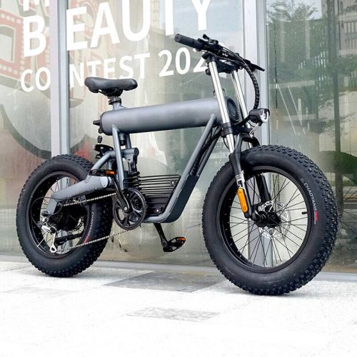 H-19 Cross-Coutry Electric Bike