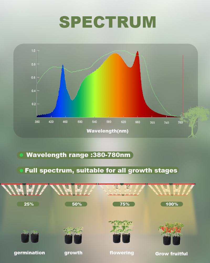 High Quality Cheap 600w/800w Cannabis grow light