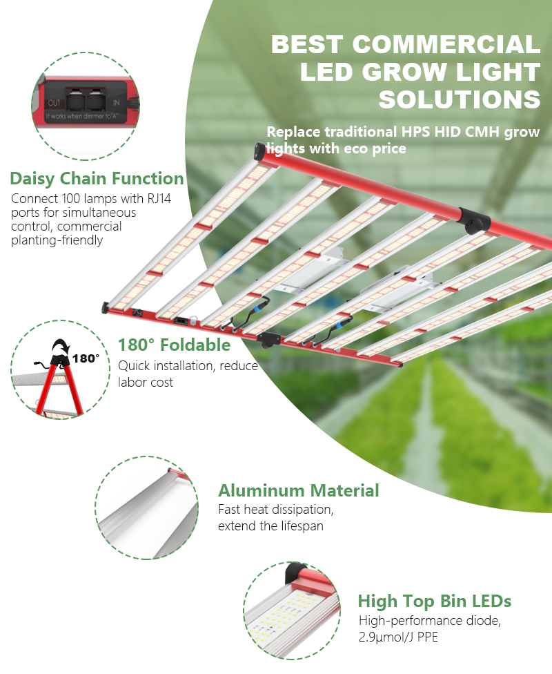 High Quality Cheap 600w/800w Cannabis grow light