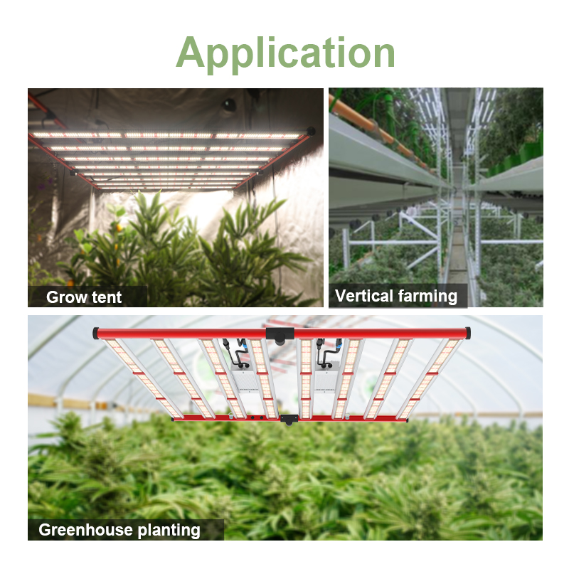 High Quality Cheap 600w/800w Cannabis grow light