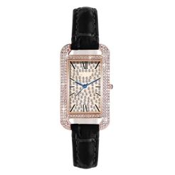 Elegant luxury diamond watch NG 03