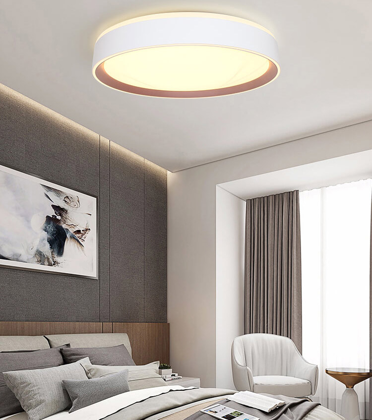 Smart Decorative Remote Control LED Ceiling Light