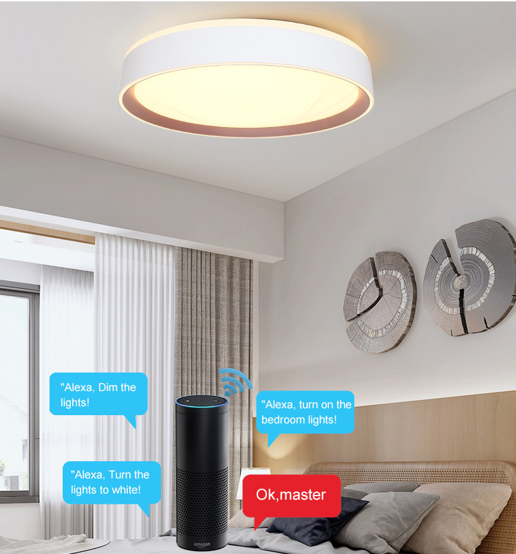 Smart Decorative Remote Control LED Ceiling Light