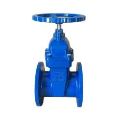 F4 3352 Ductile Iron Gate Valve