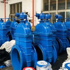 24 Inch DN600 Ductile iron BS DIN F4 Soft Seal Gate Valve