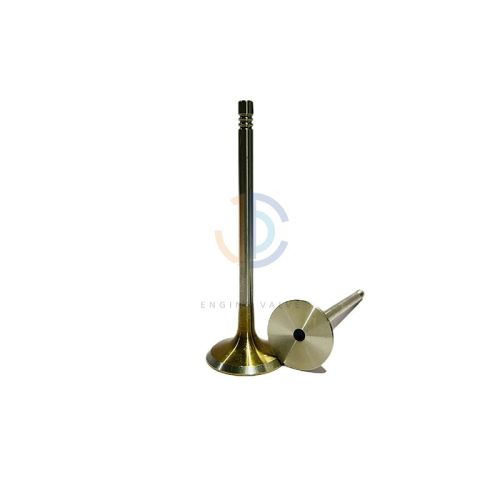 Volkswagen Engine Valves